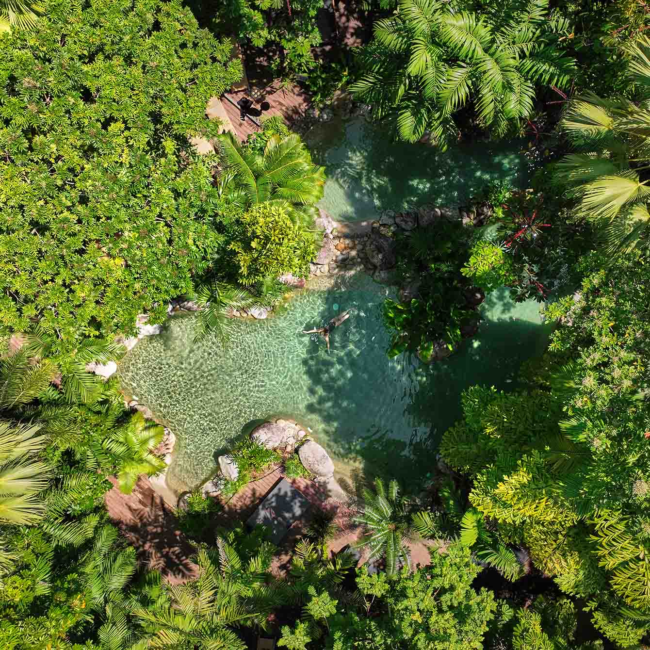 Silky Oaks Lodge, wellness