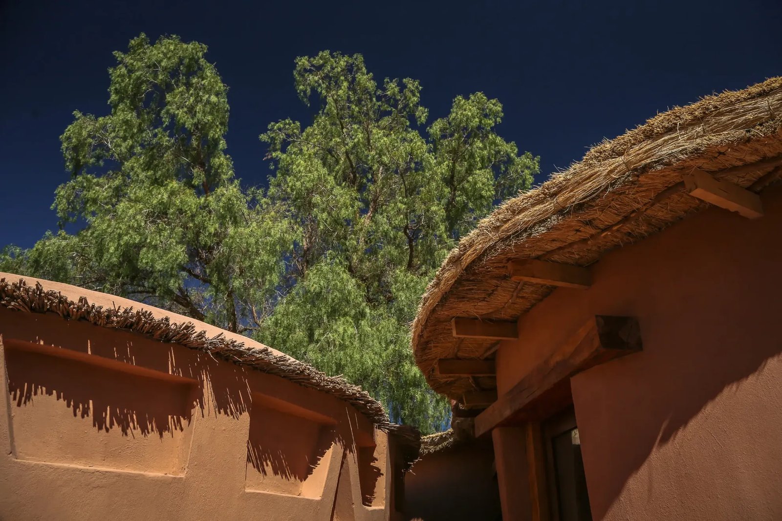 Awasi Atacama, backstory