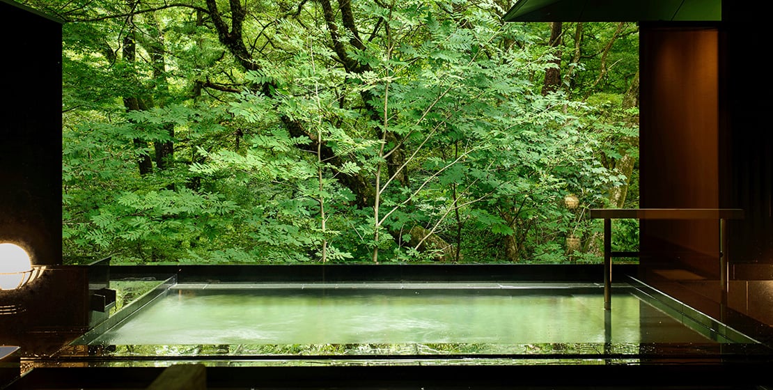 Fufu Nikko, the spa
