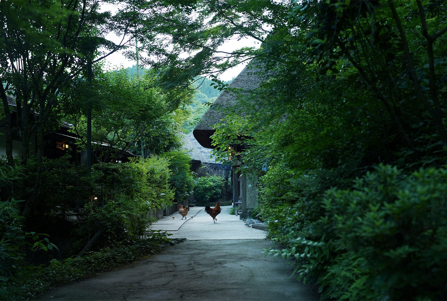 Wasure-no-sato Gajoen