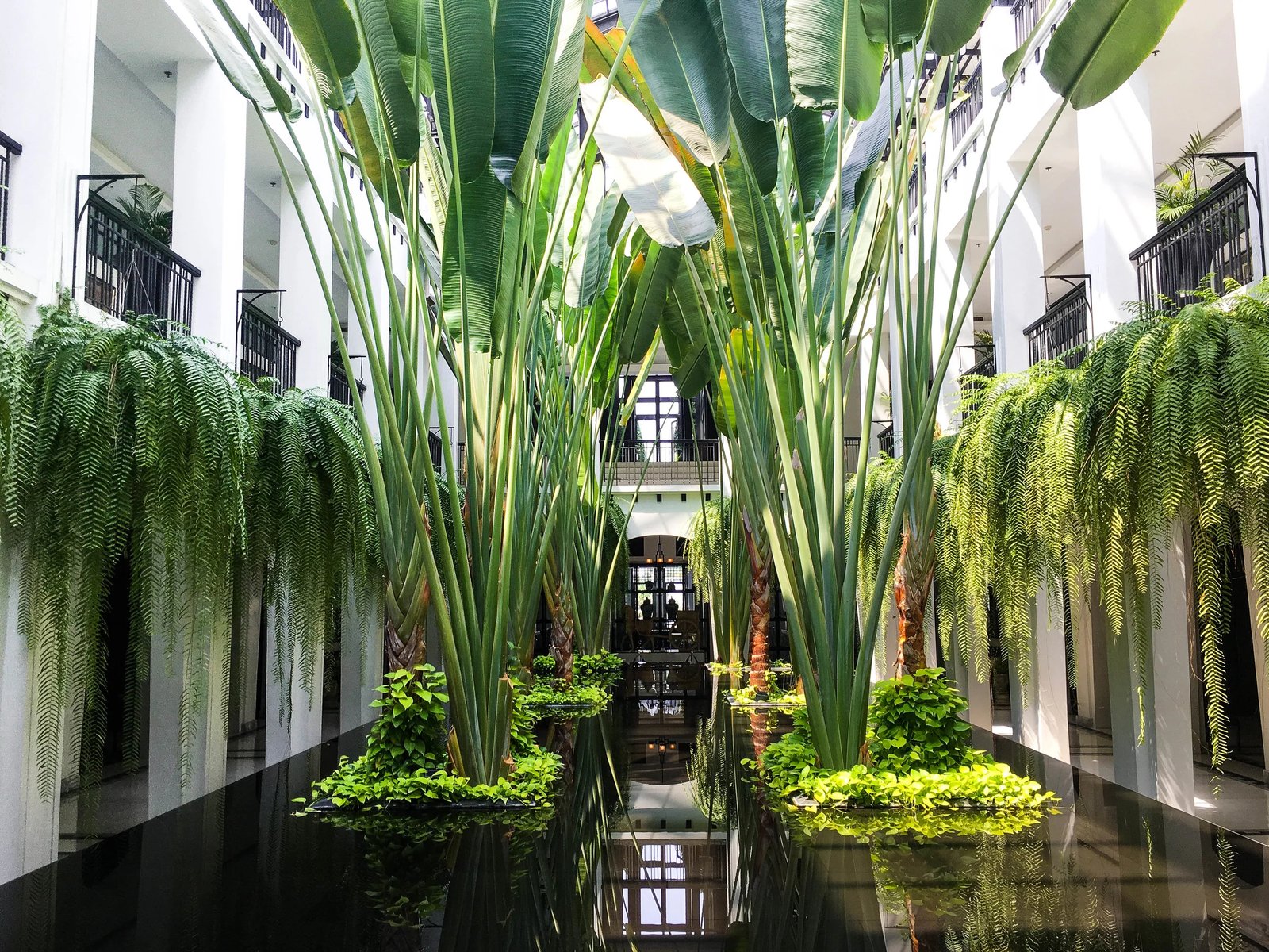The Siam — vibe