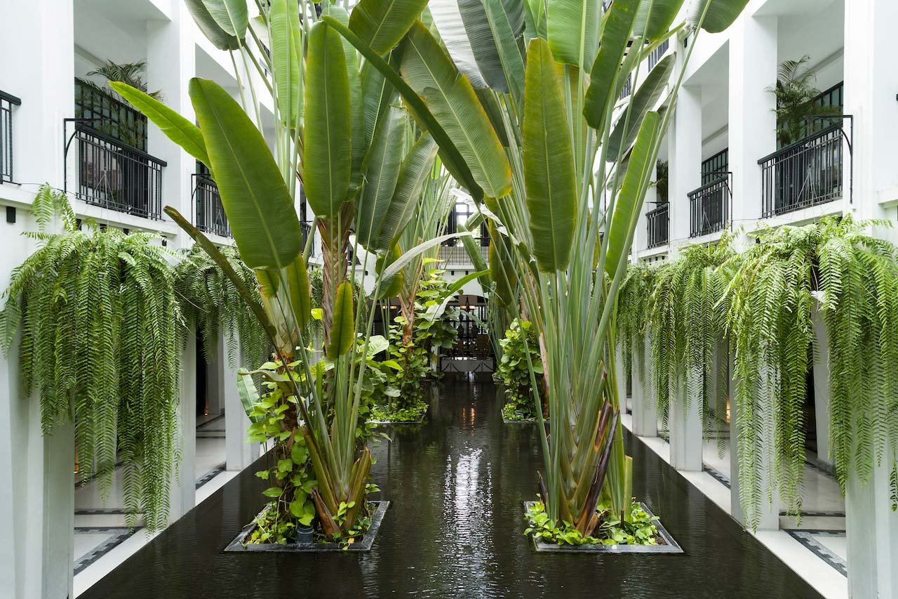The Siam