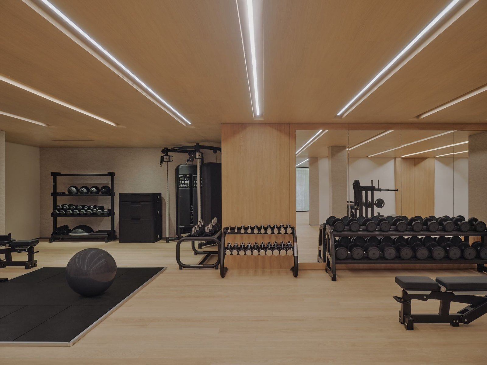 Aman Rosa Alpina, the gym