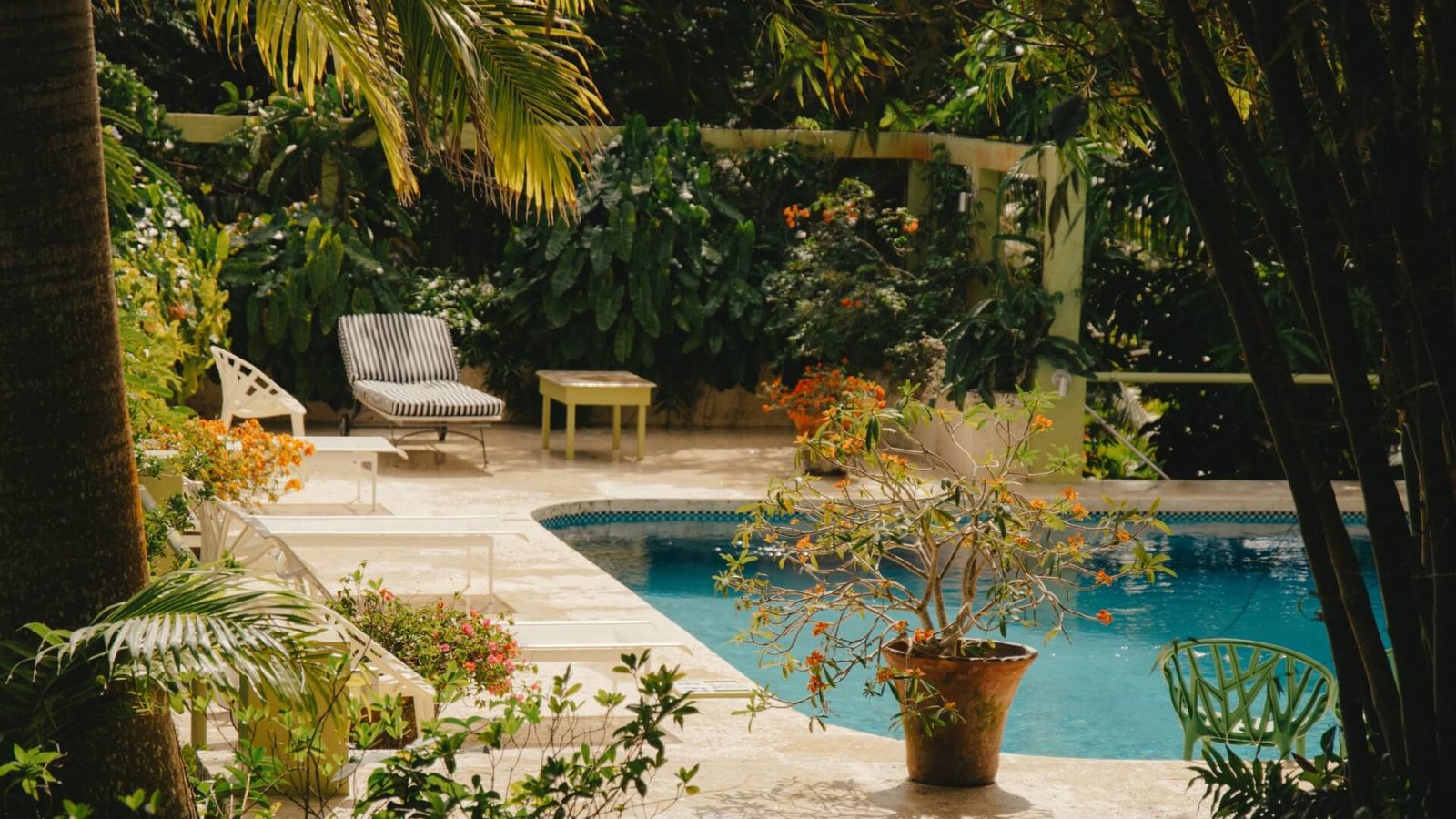 Golden Rock Inn, wellness