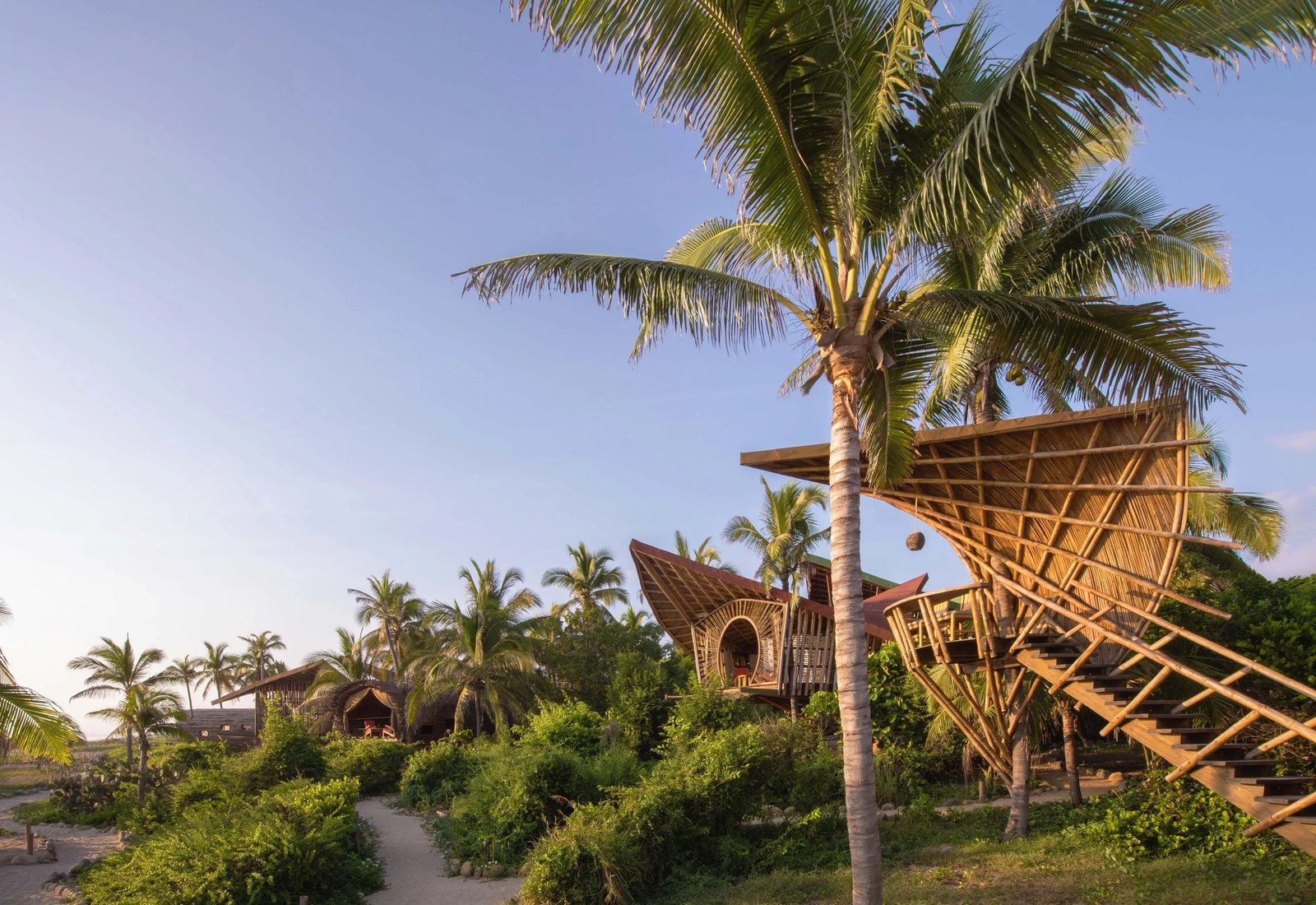 Playa Viva, how it began