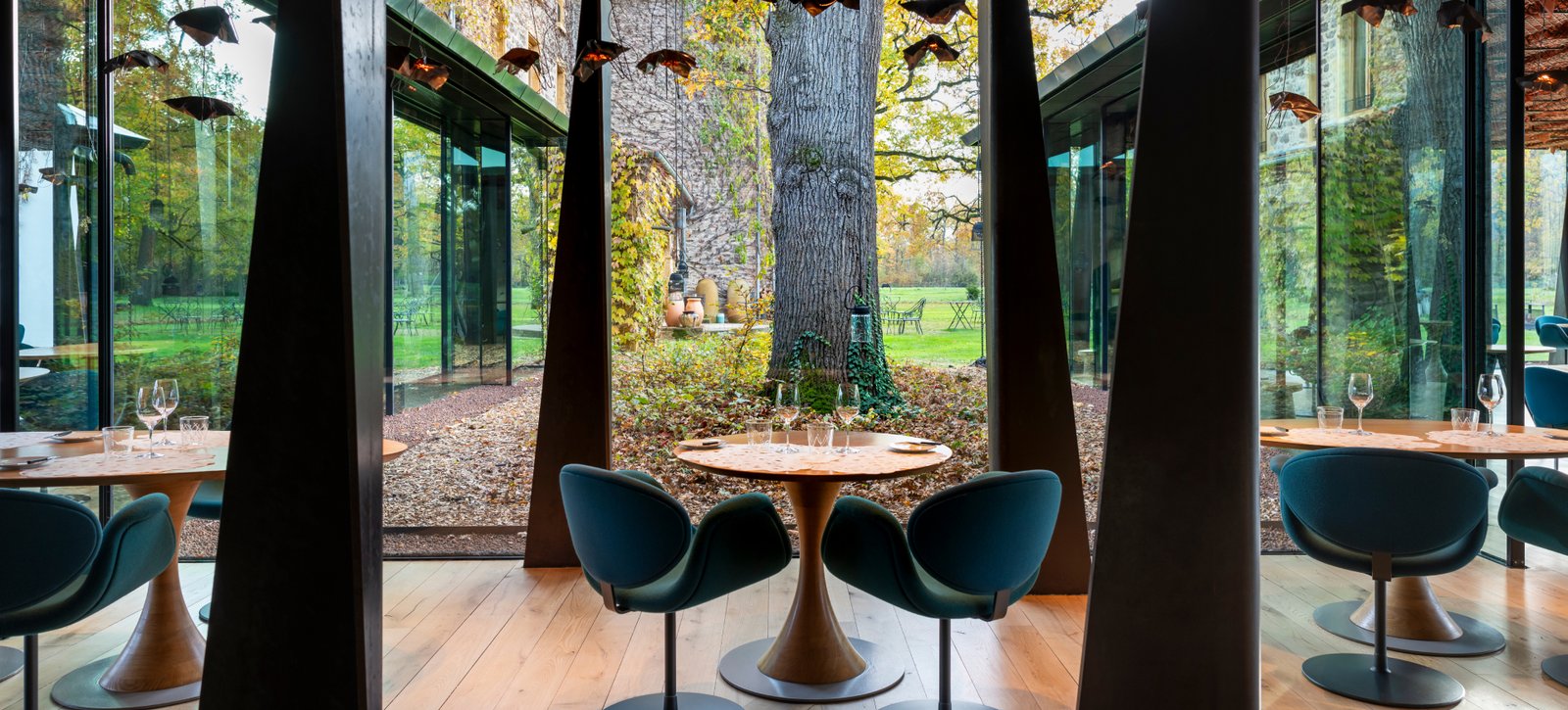 Le Bois sans Feuilles