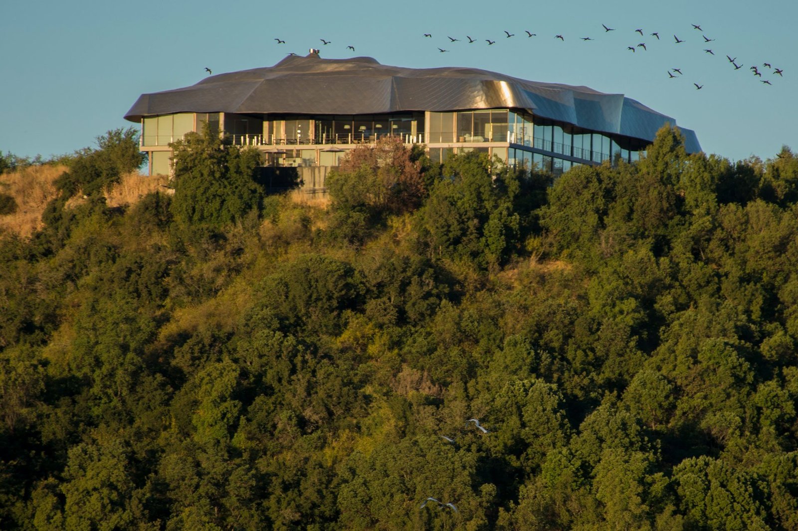 Vik Chile Retreats, backstory