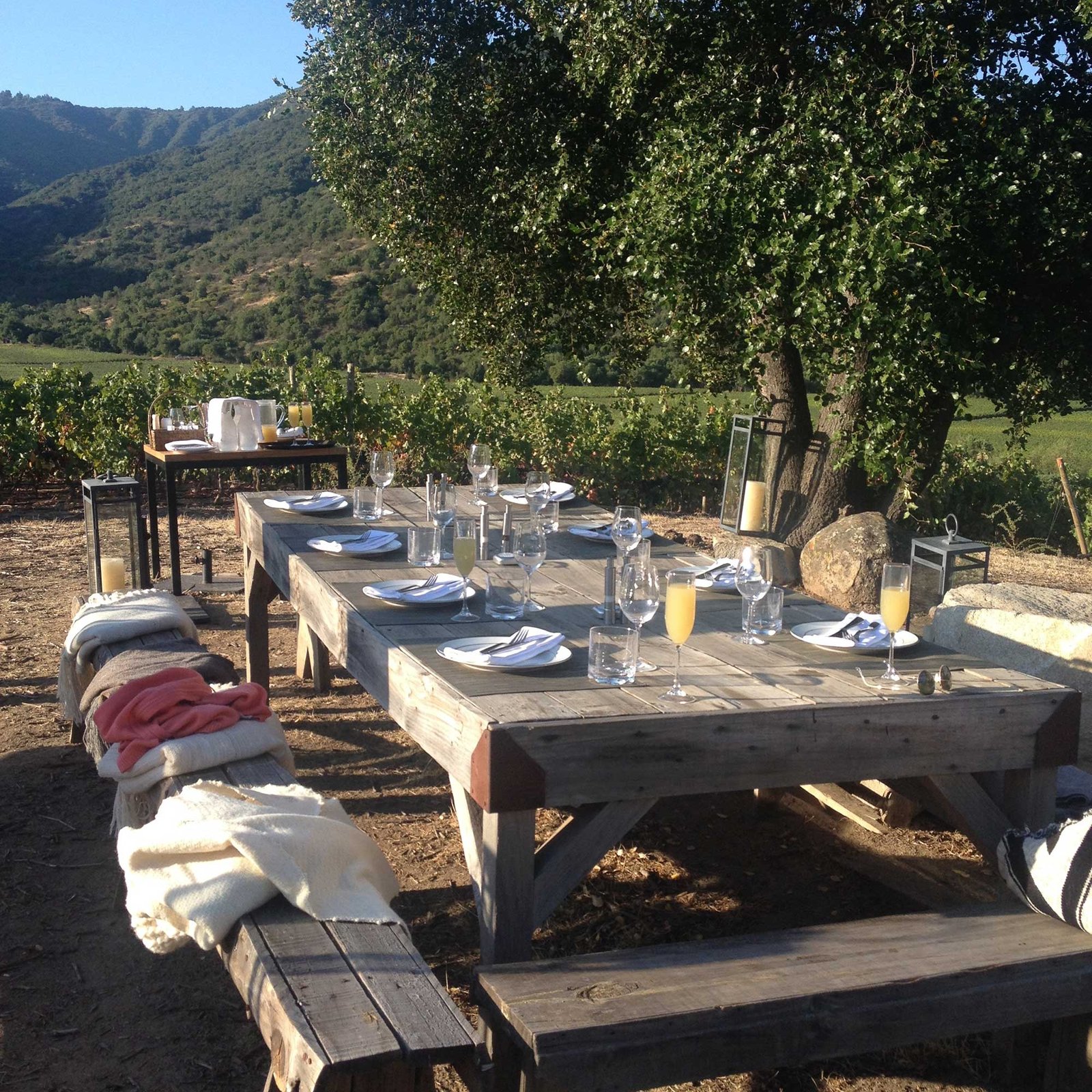 Vik Chile Retreats, eat & drink
