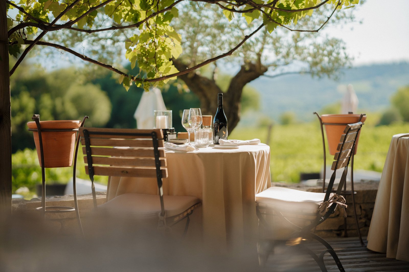 Coquillade Provence, les vignes