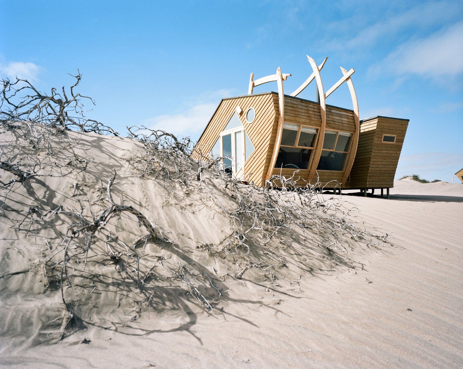 Shipwreck Lodge, backstory