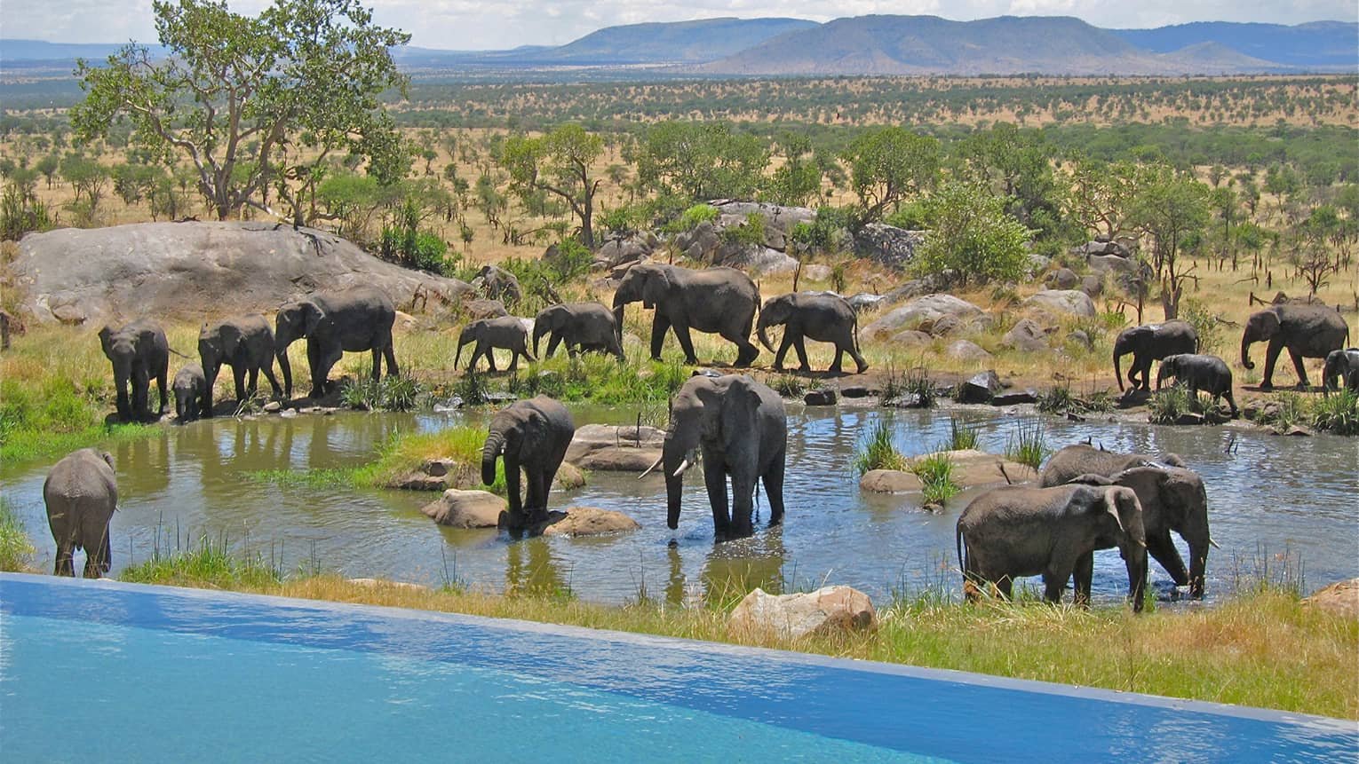 Four Seasons Safari Lodge Serengeti, vibe