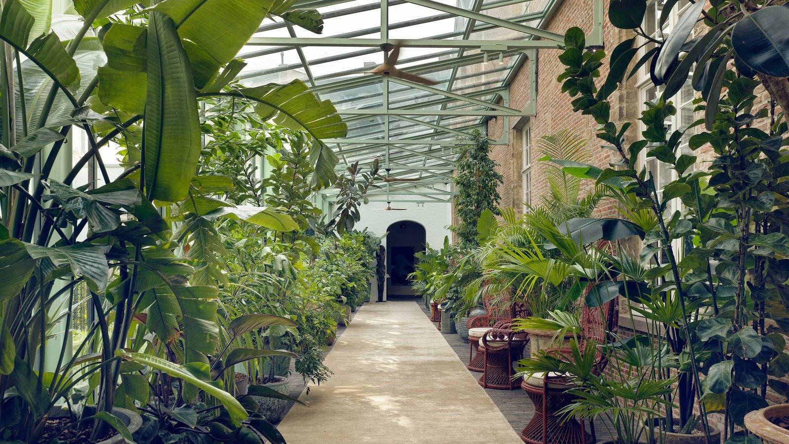 Botanic Sanctuary Antwerp, vibe