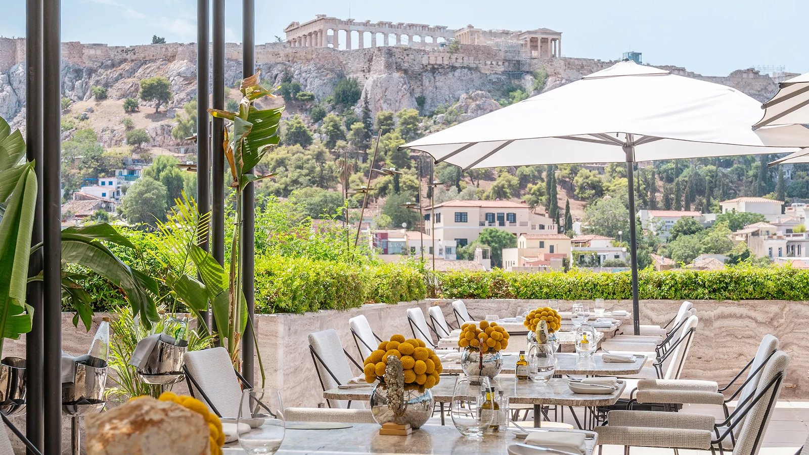 The Dolli at Acropolis, eat & drink