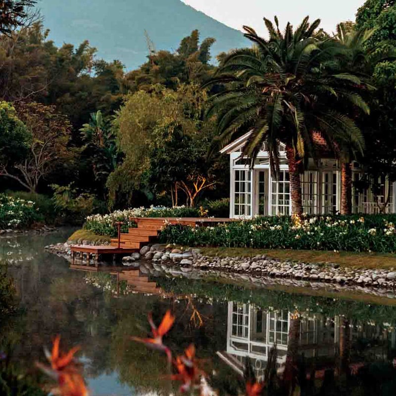 Villa Bokéh, vibe