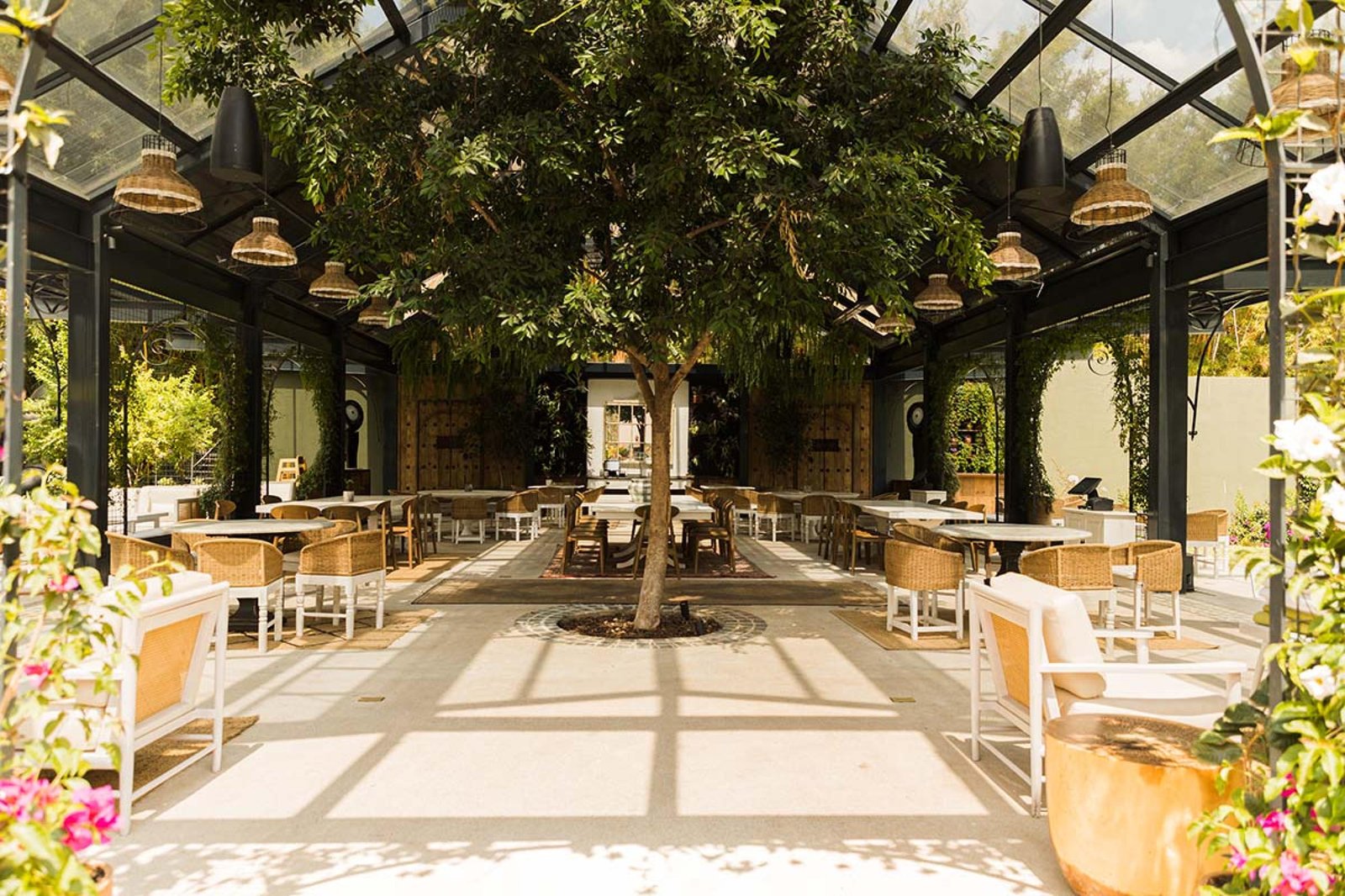 Villa Bokéh, eat & drink