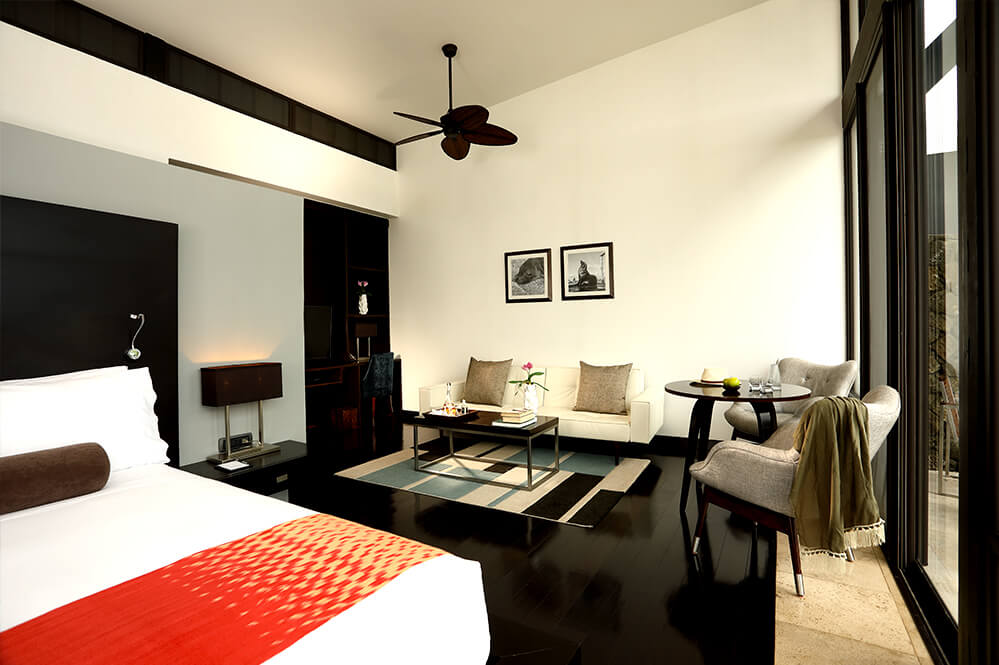 Pikaia Lodge, rooms