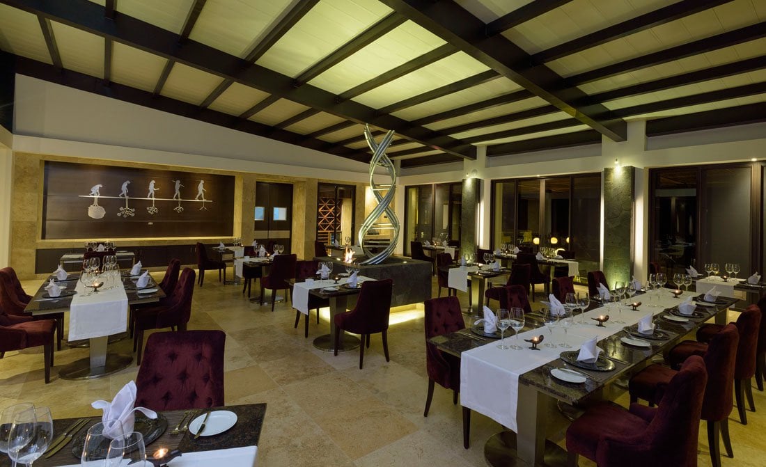 Pikaia Lodge, eat & drink