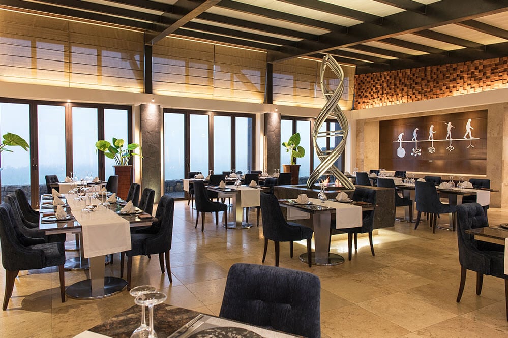 Pikaia Lodge, eat & drink