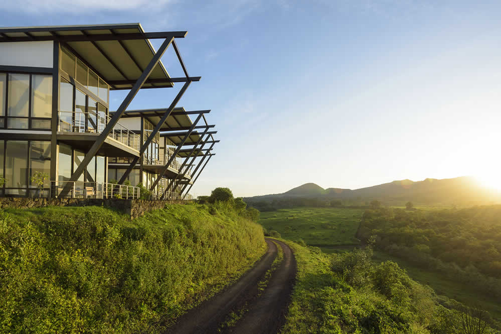Pikaia Lodge, backstory