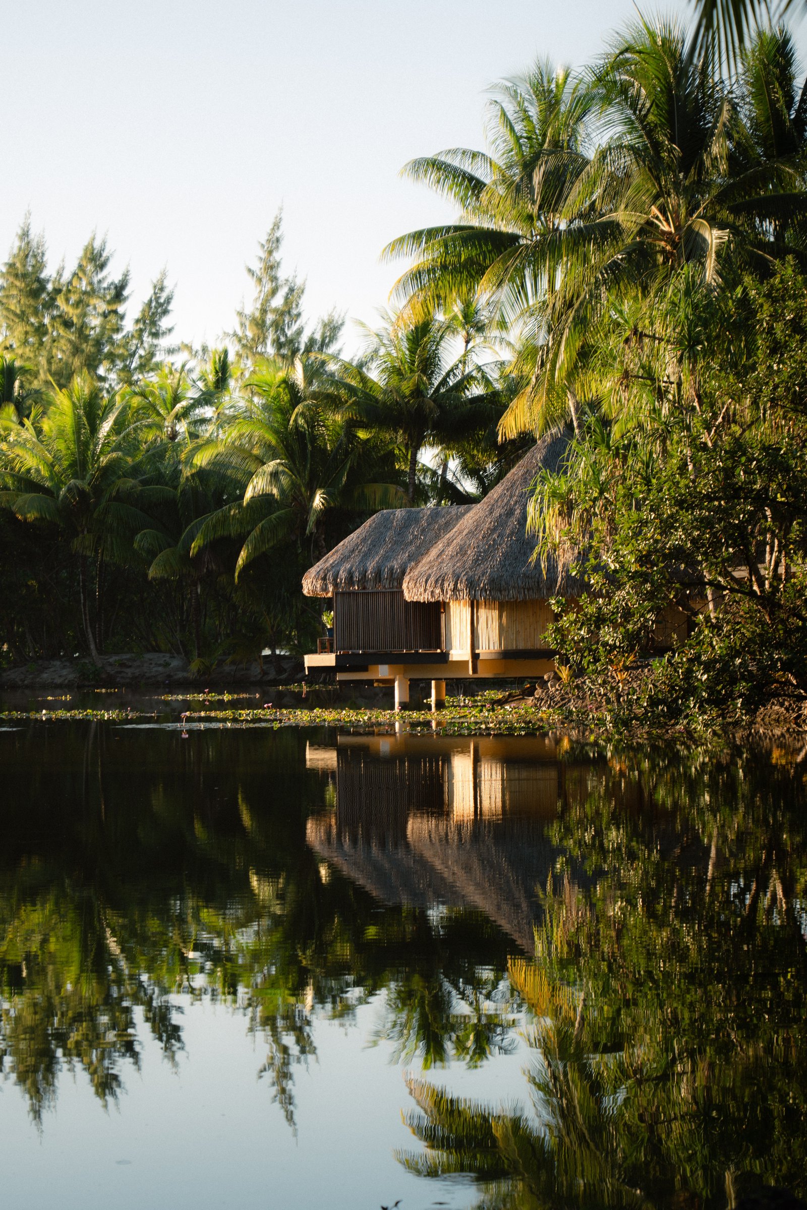 Le Taha'a by Pearl Resorts, wellness