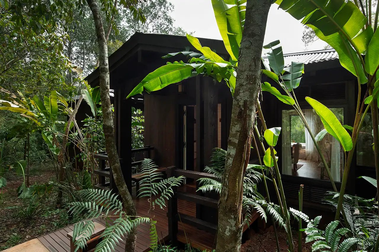 Awasi Iguazú, backstory