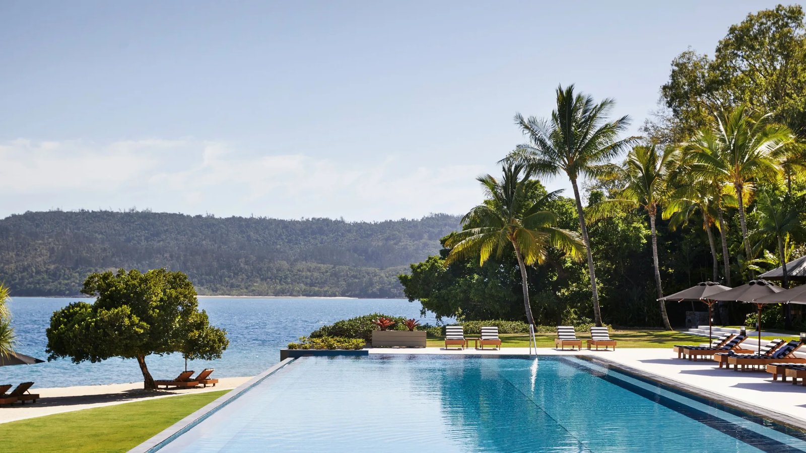 Qualia, the pool