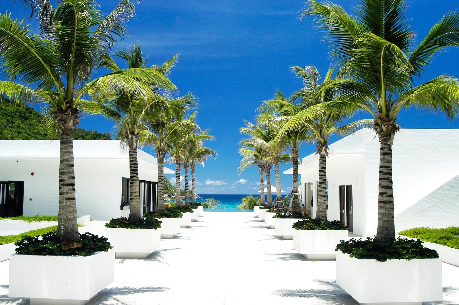 The Racha, vibe