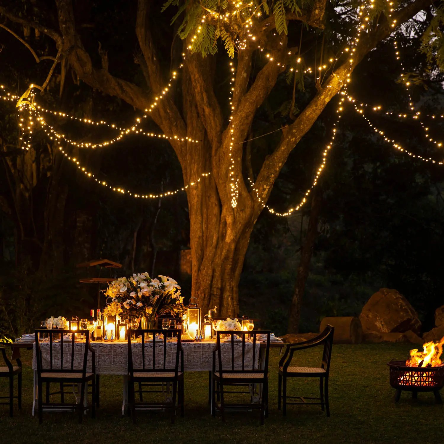 W15 Hanthana Estate, at the table