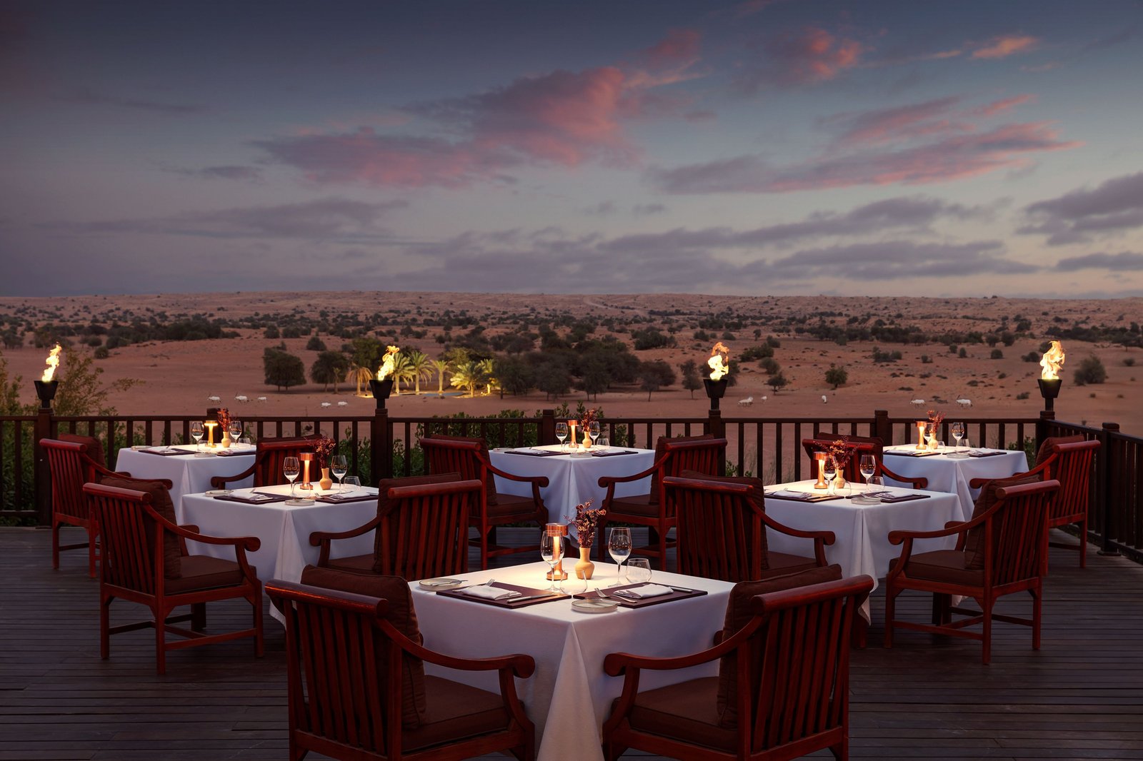 Al Maha, a Luxury Collection Desert Resort & Spa, Dubai, eat & drink