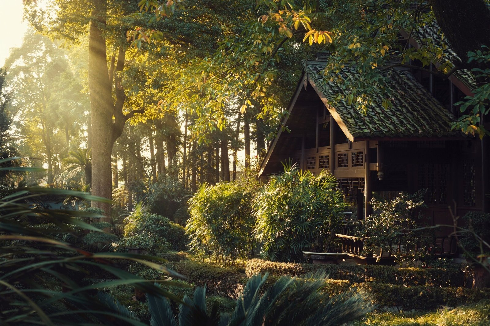 Six Senses Qing Cheng Mountain, how it began