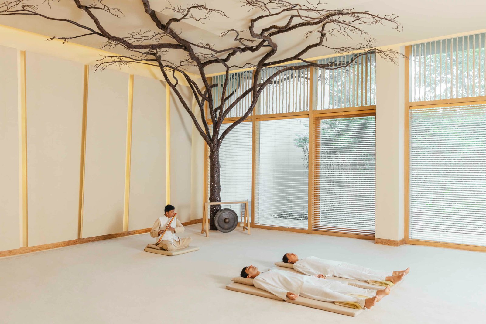 Six Senses Vana, wellness