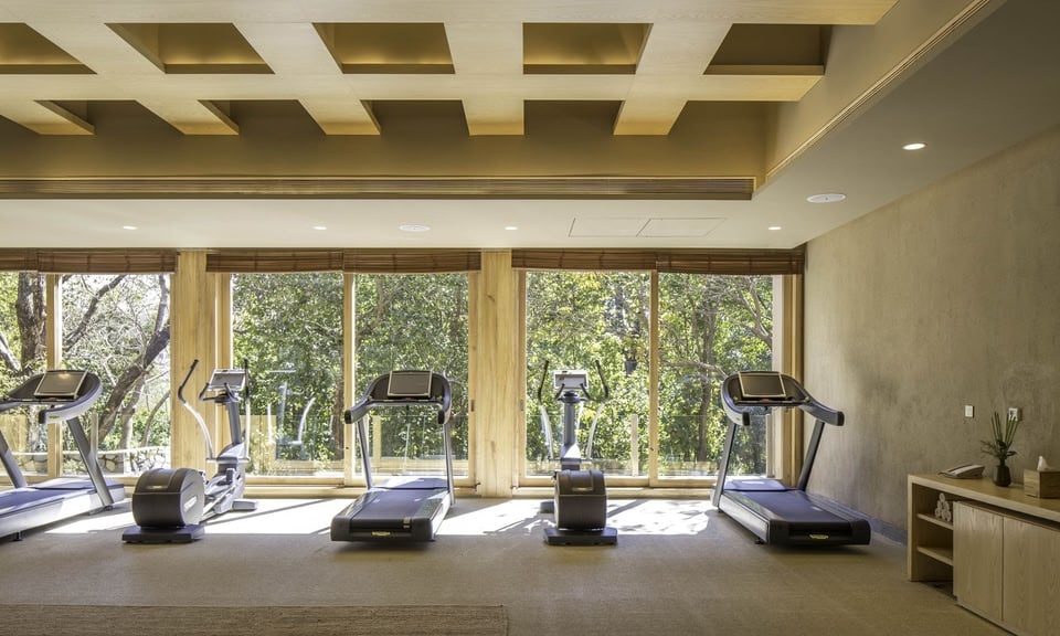 Six Senses Vana, wellness