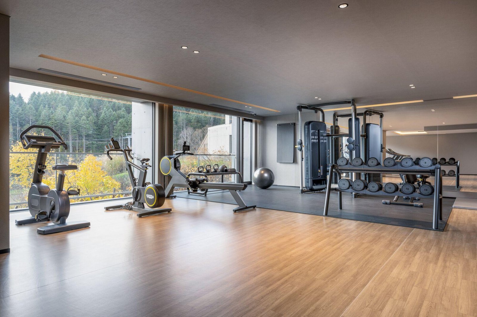 Sansui Niseko, spa and gym
