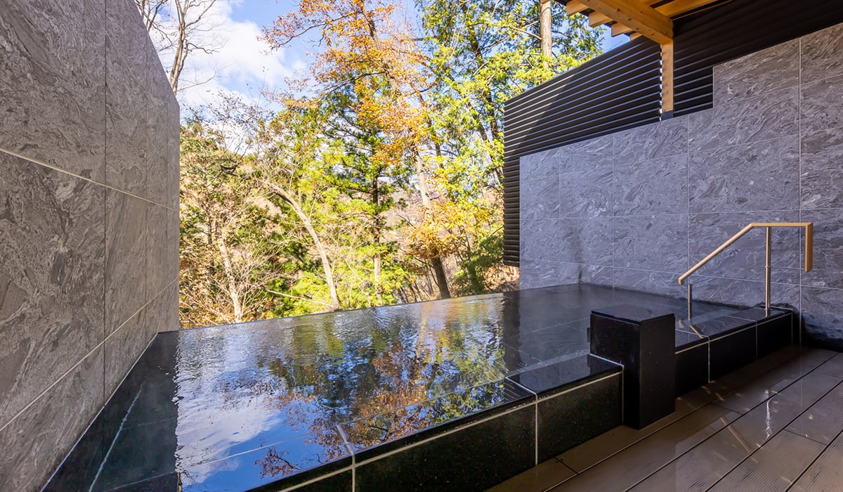 Tokyu Harvest Club VIALA Kinugawakeisui, the spa