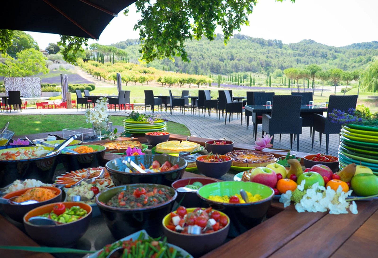 Domaine Des Andéols, le platane