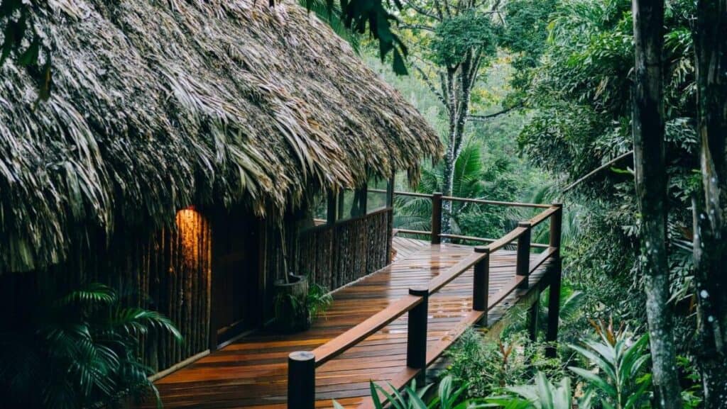 Blancaneaux Lodge, backstory