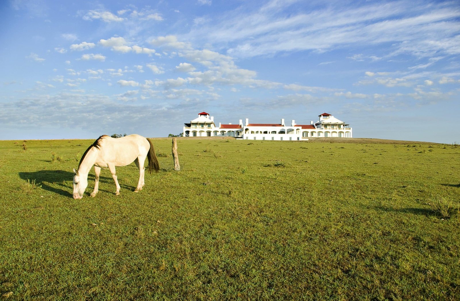 Estancia Vik José Ignacio, backstory