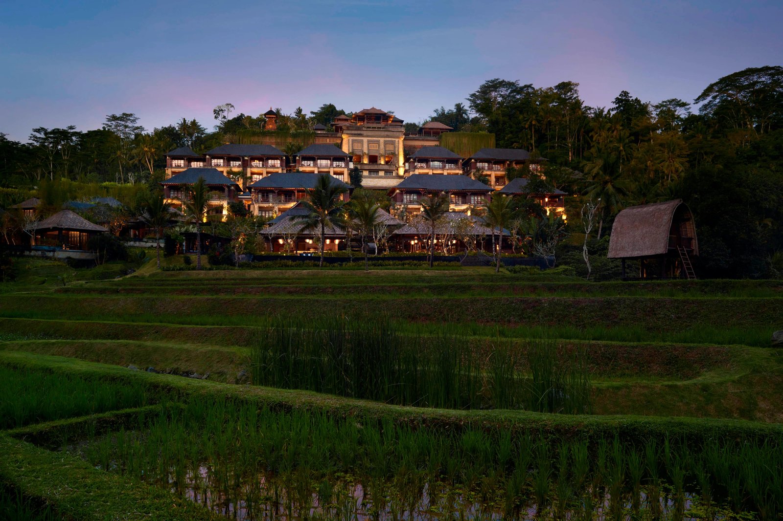 Mandapa, a Ritz-Carlton Reserve — backstory