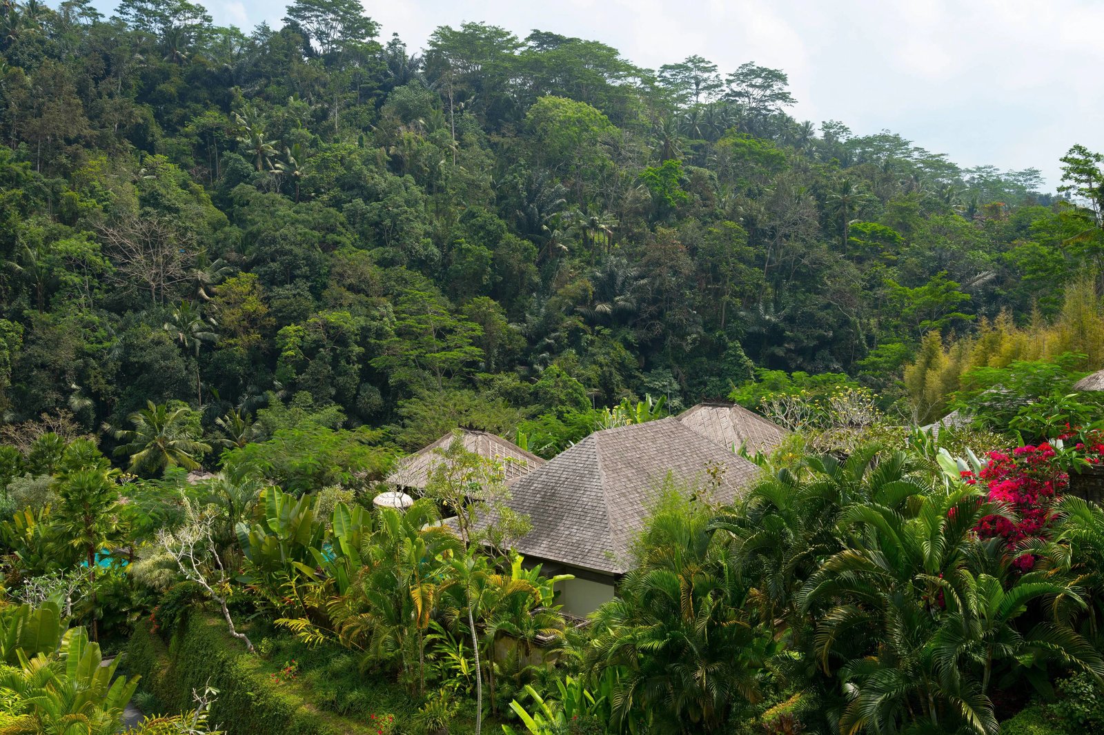Mandapa, a Ritz-Carlton Reserve — backstory