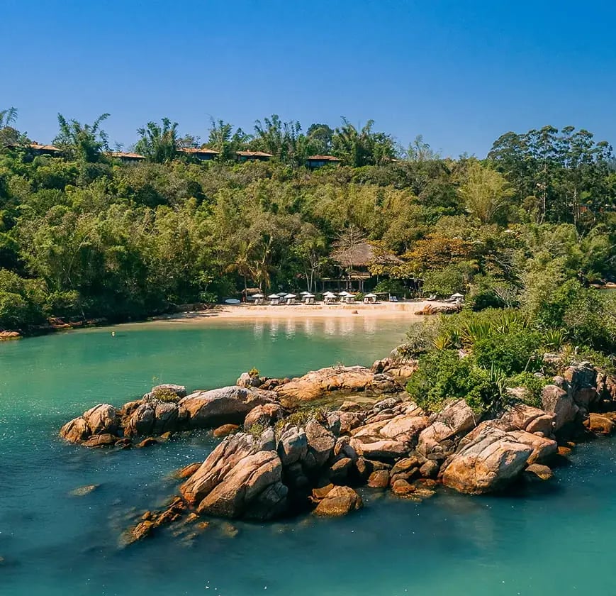 Awasi Santa Catarina, vibe