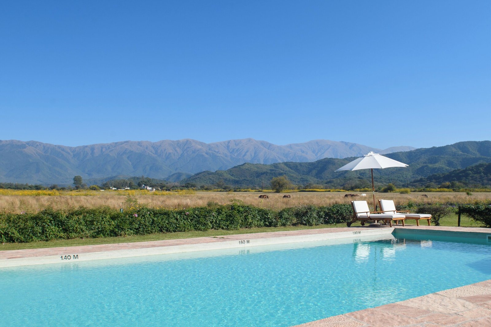House of Jasmines, wellness