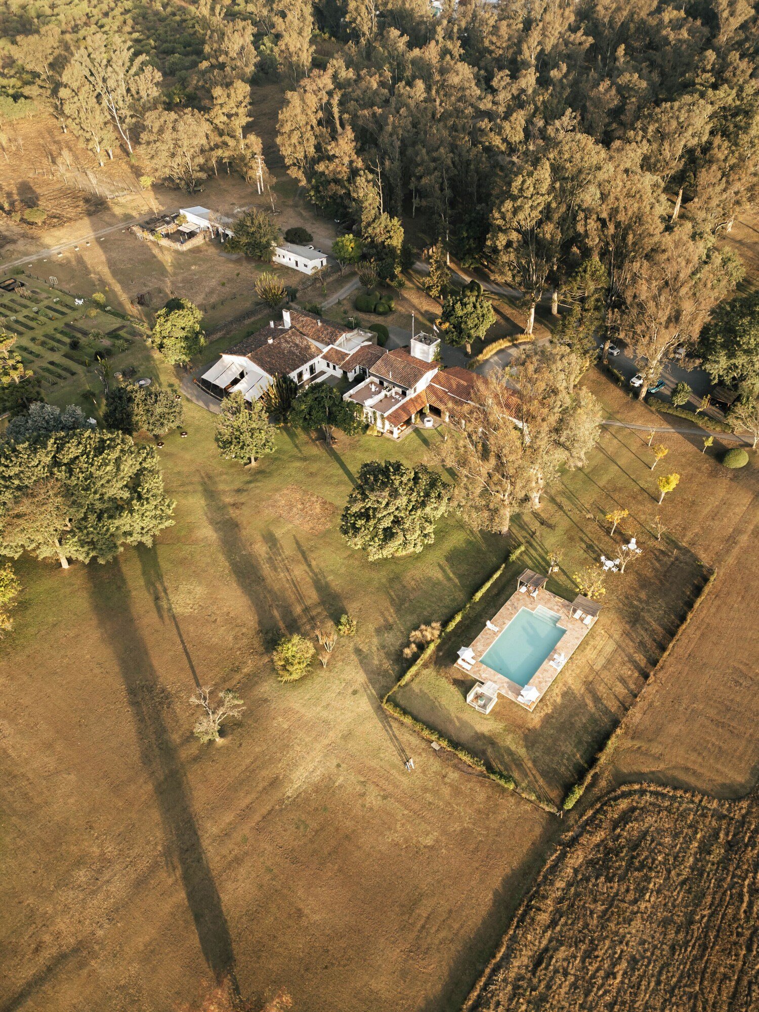 House of Jasmines, backstory