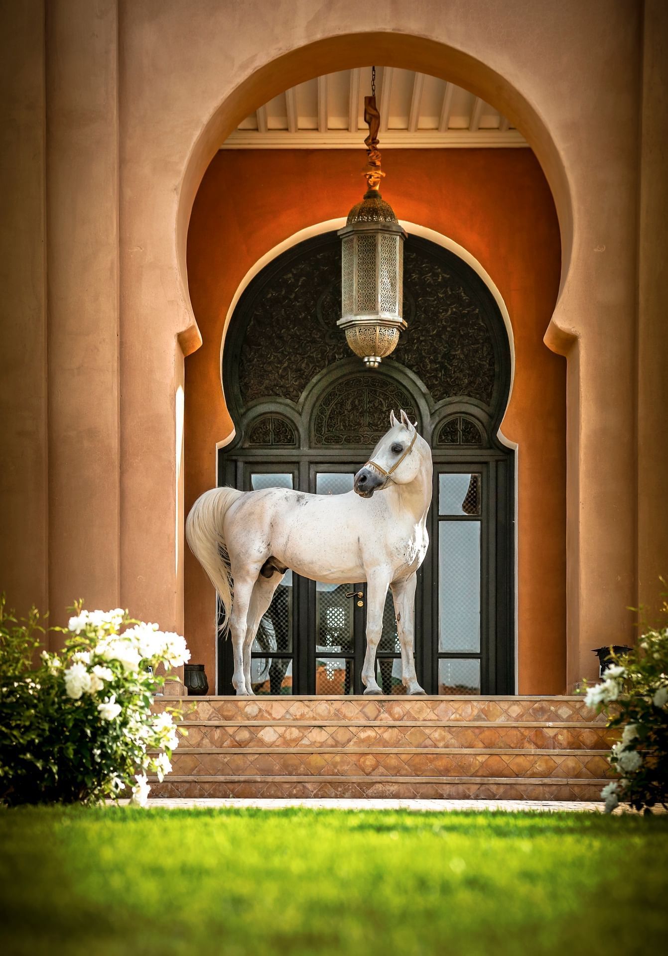 Selman Marrakech, backstory