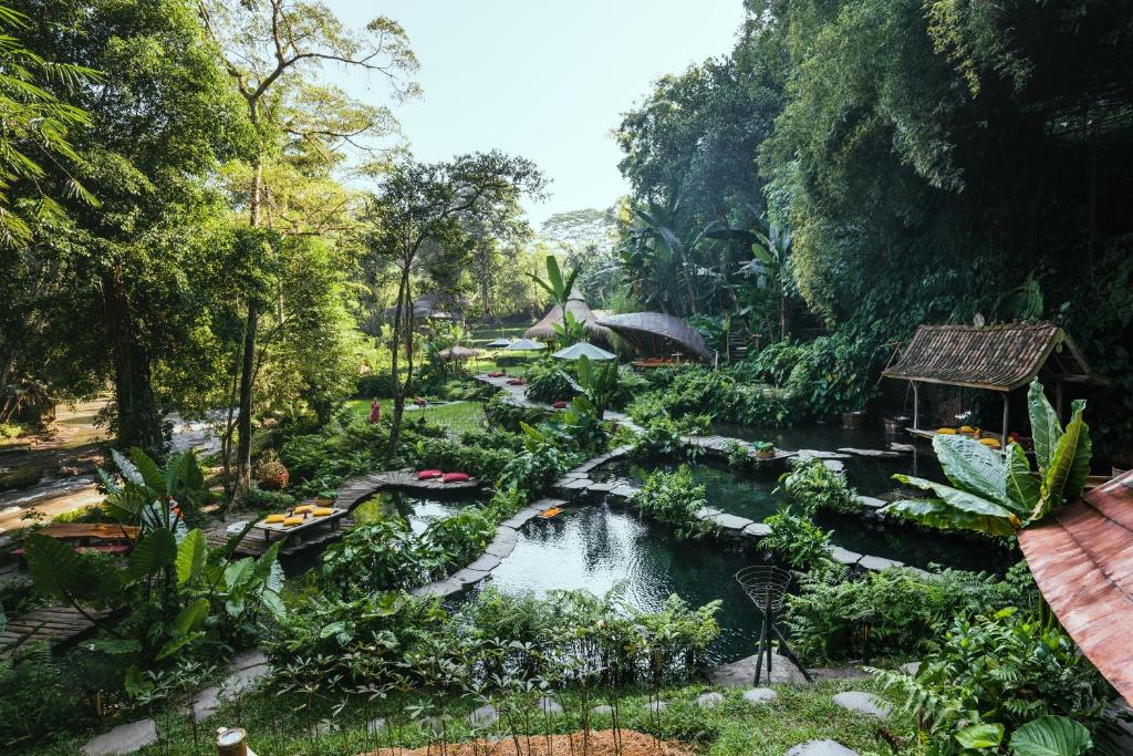 Bambu Indah, the pool