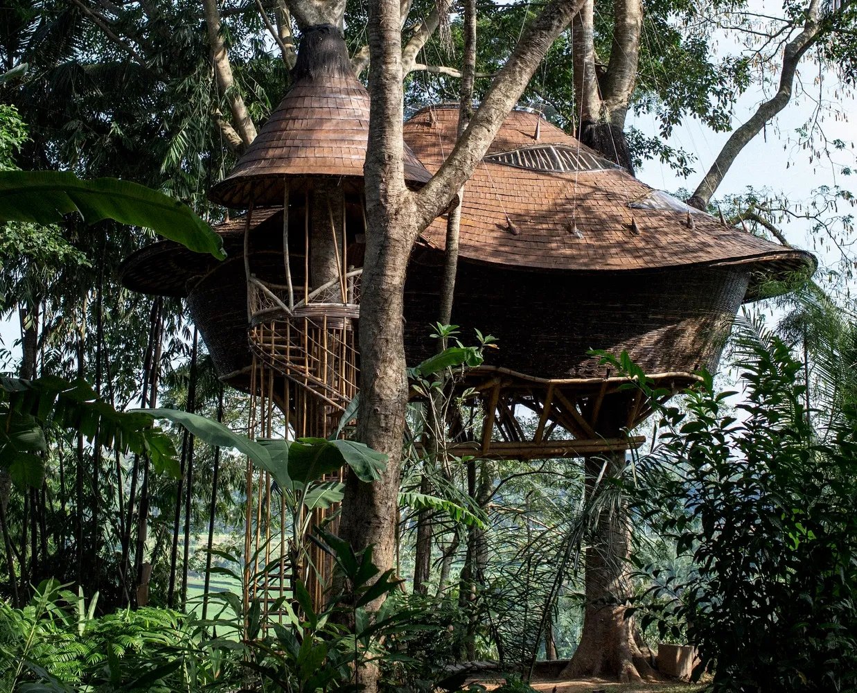 Bambu Indah, how it began
