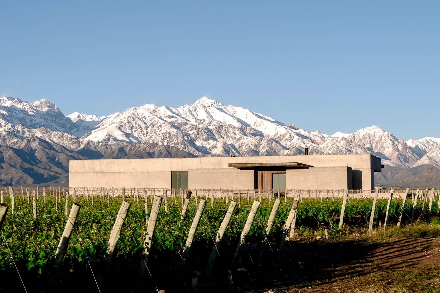 The Vines Resort & Spa, how it began