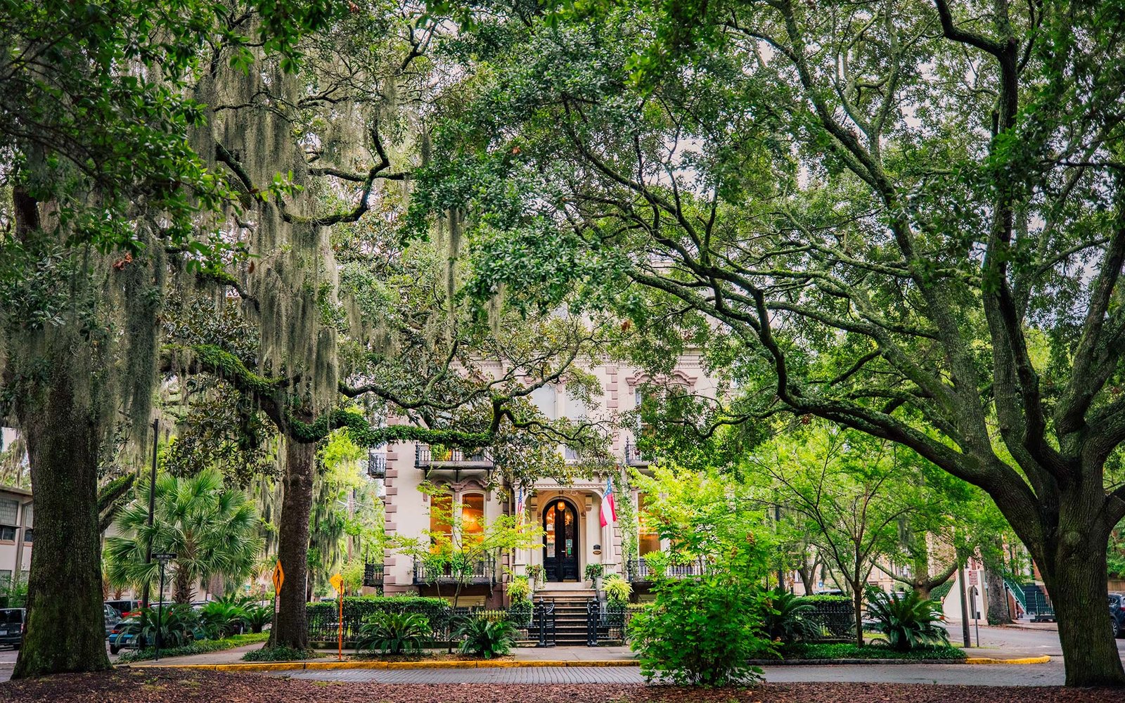 Hotel Bardo Savannah, backstory