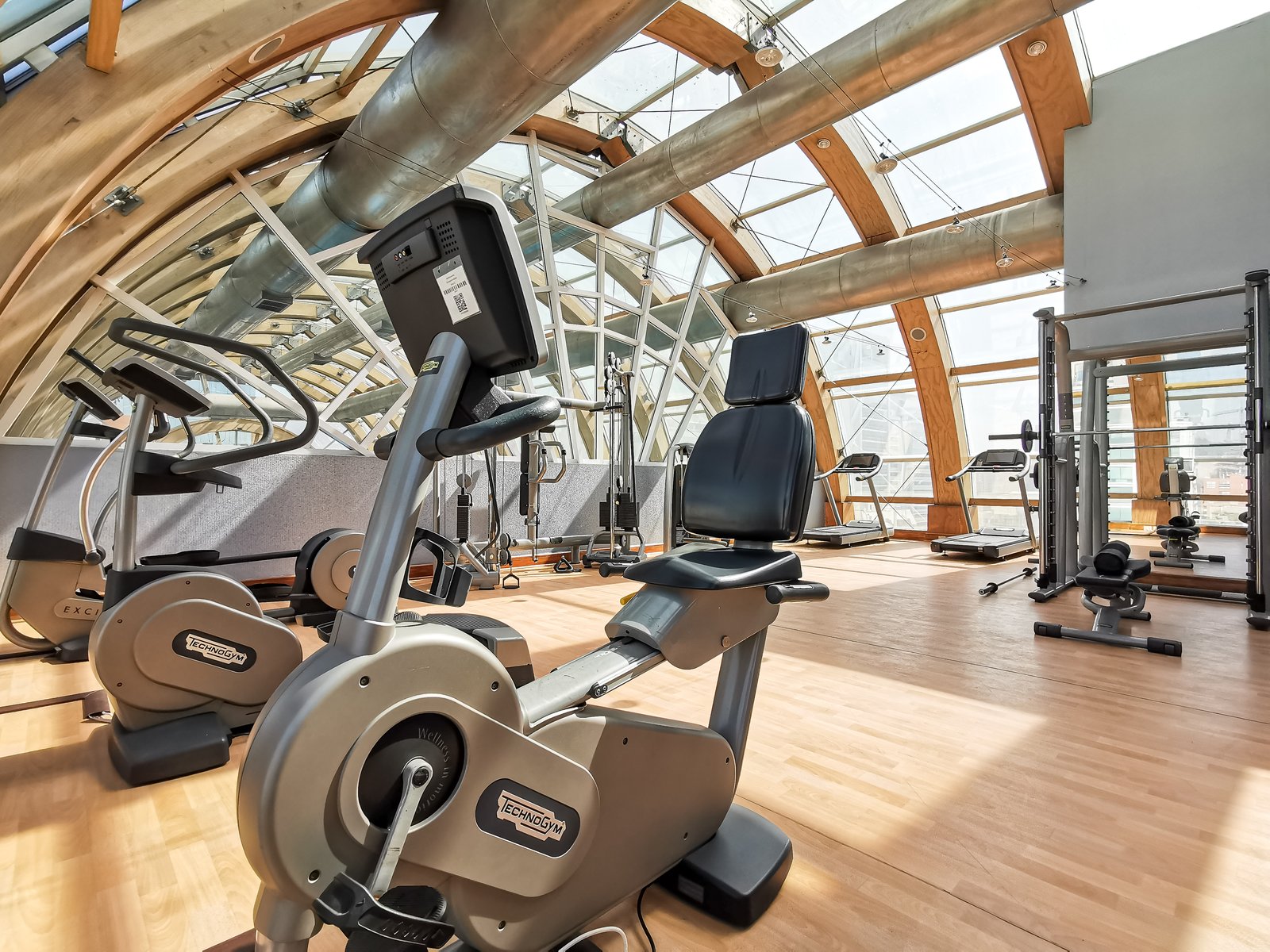 The Ritz-Carlton, Santiago, wellness