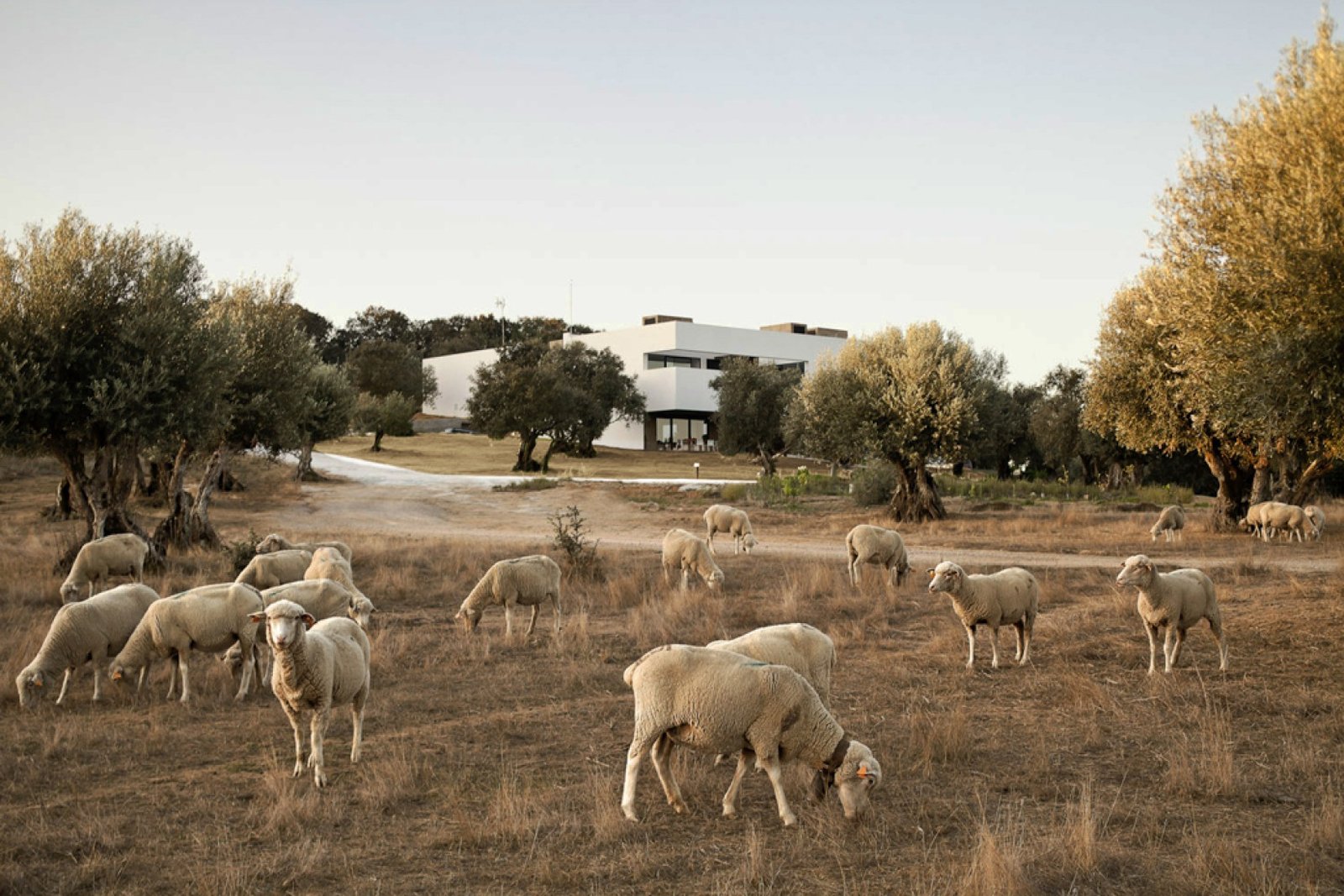 Villa Extramuros, how it began