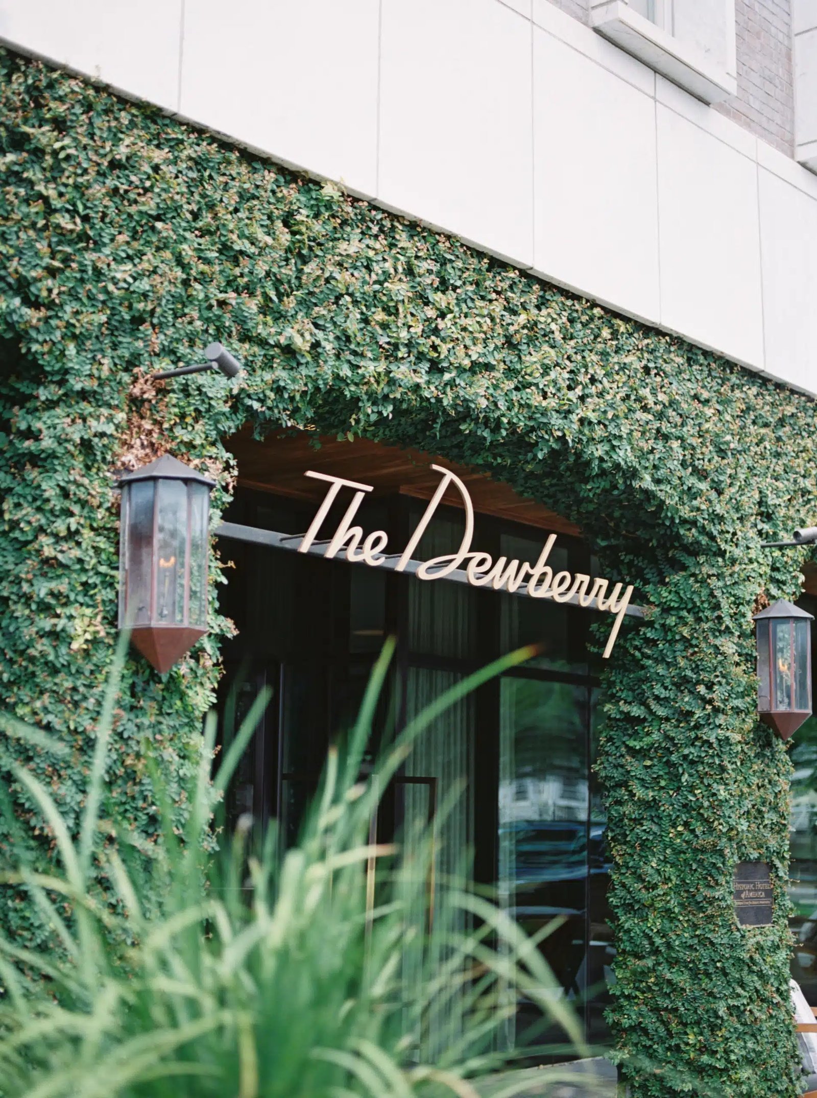 The Dewberry Charleston, backstory